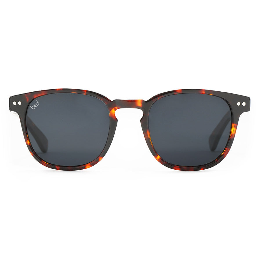 Athene | Tortoiseshell