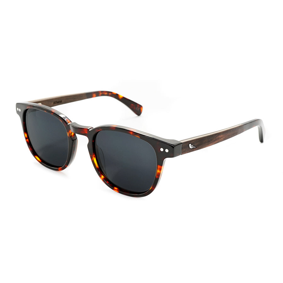 Athene | Tortoiseshell