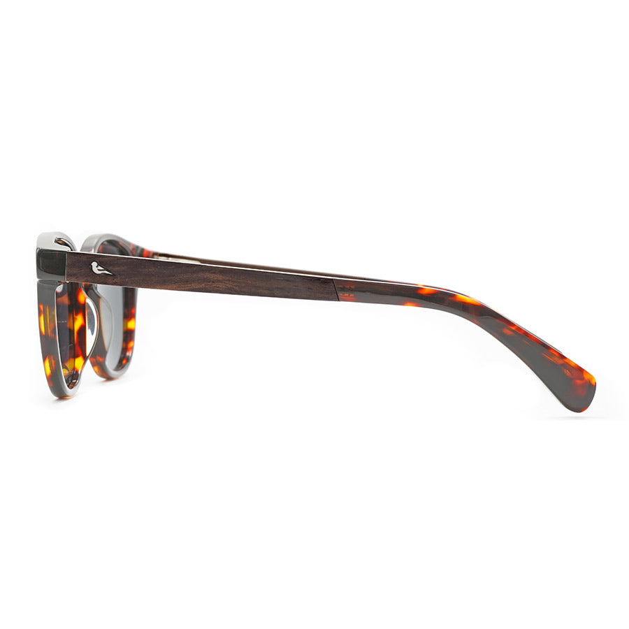 Athene | Tortoiseshell