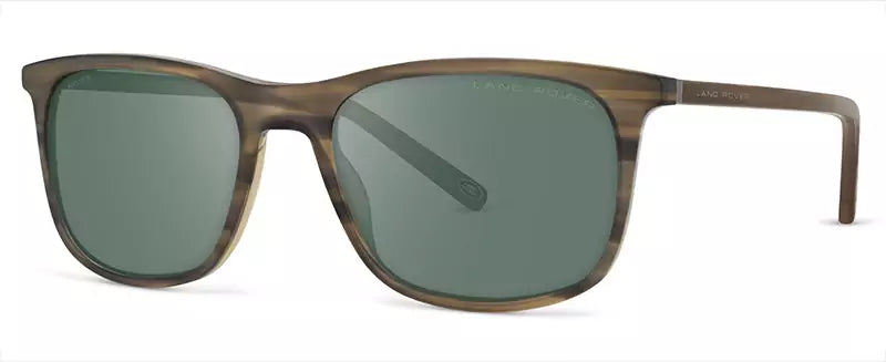 Defender: FOXLEY SBR: STRIATED BROWN